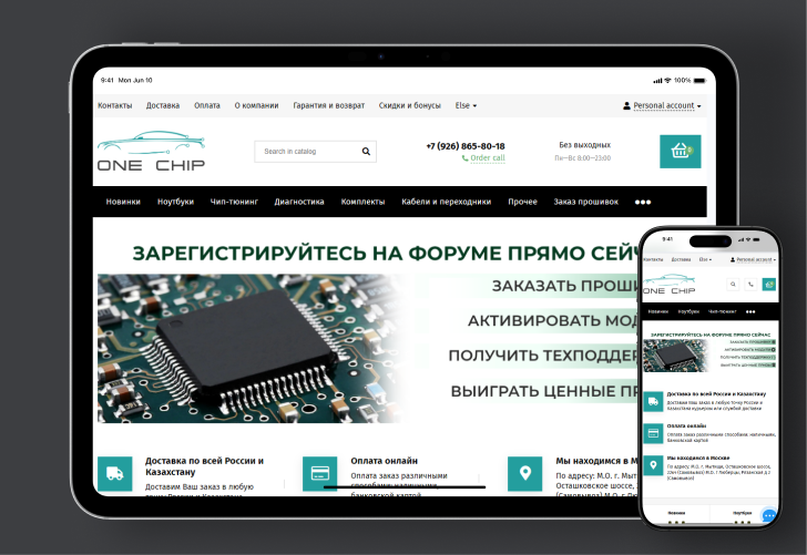 one-chip.ru